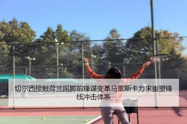 切尔西接触荷兰国脚前锋谋变革马雷斯卡力求重塑锋线冲击体系